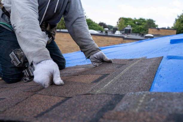 Best Storm Damage Roof Repair  in Hamilton Square, NJ